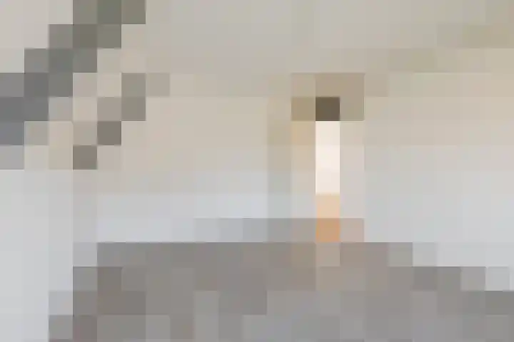 Loire 31 Assen thumbnail 29