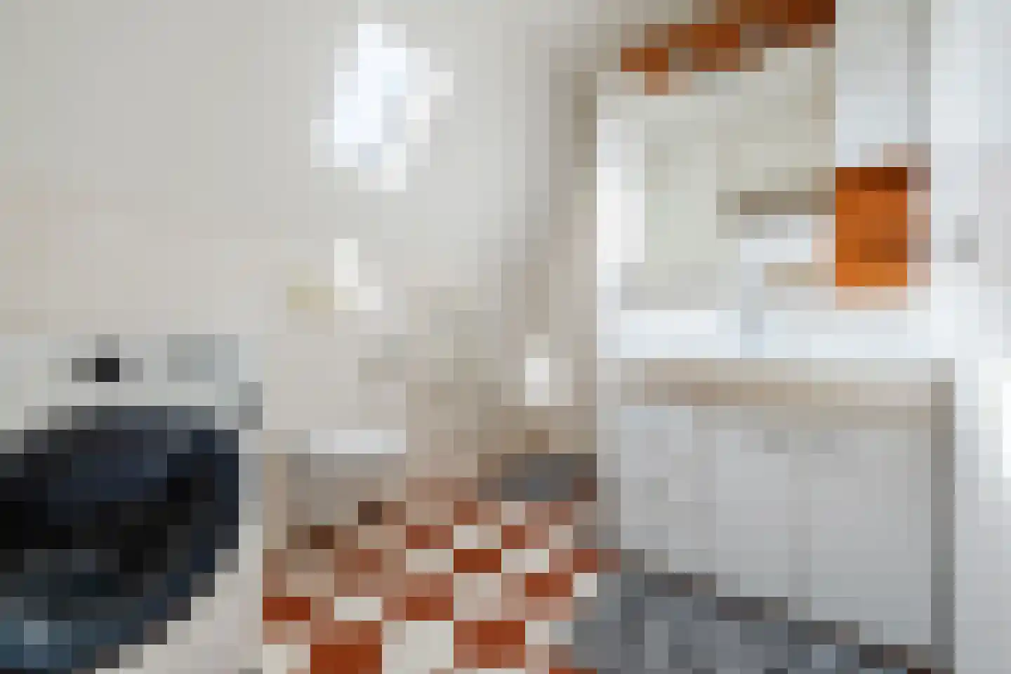 Loire 31 Assen thumbnail 30