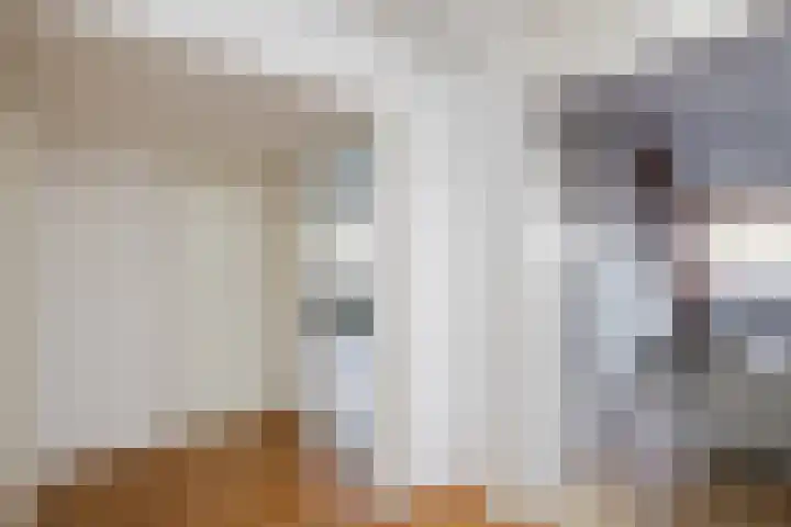 Loire 31 Assen thumbnail 33