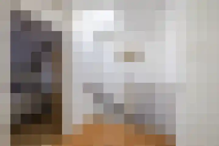 Loire 31 Assen thumbnail 34