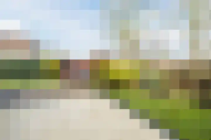 Loire 31 Assen thumbnail 38