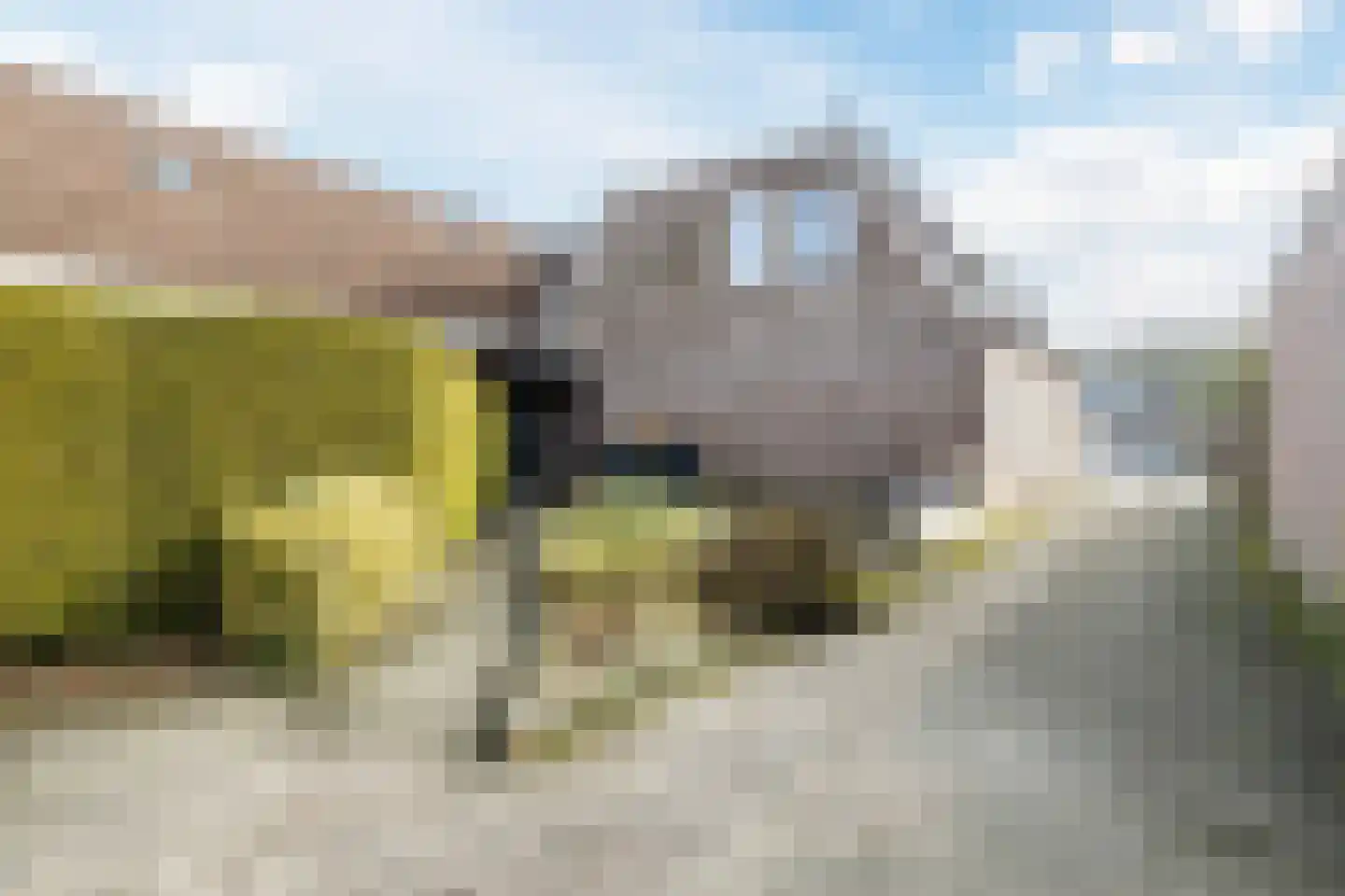 Loire 31 Assen thumbnail 4
