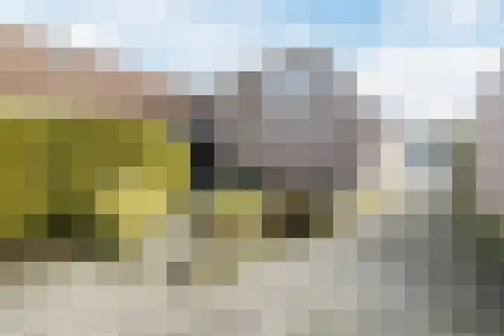 Loire 31 Assen thumbnail 4