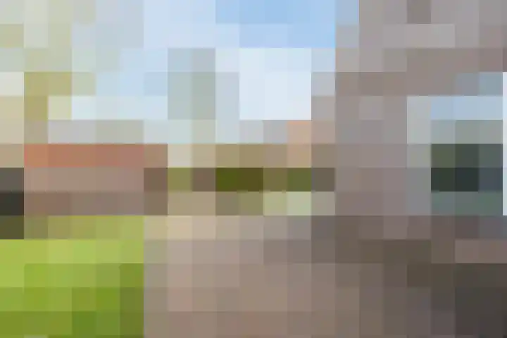 Loire 31 Assen thumbnail 40