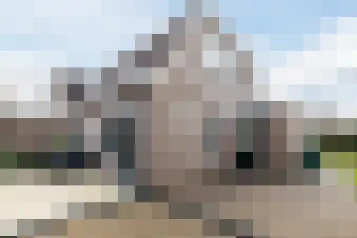 Loire 31 Assen thumbnail 42