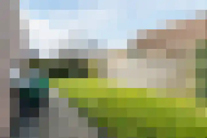 Loire 31 Assen thumbnail 43