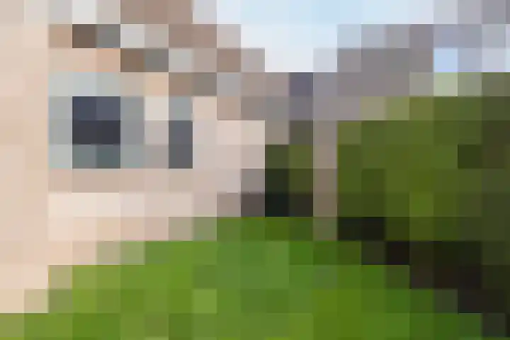 Loire 31 Assen thumbnail 44