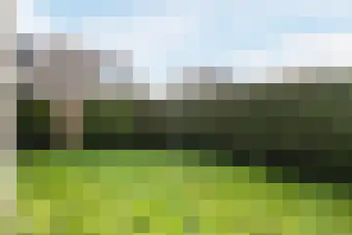 Loire 31 Assen thumbnail 45