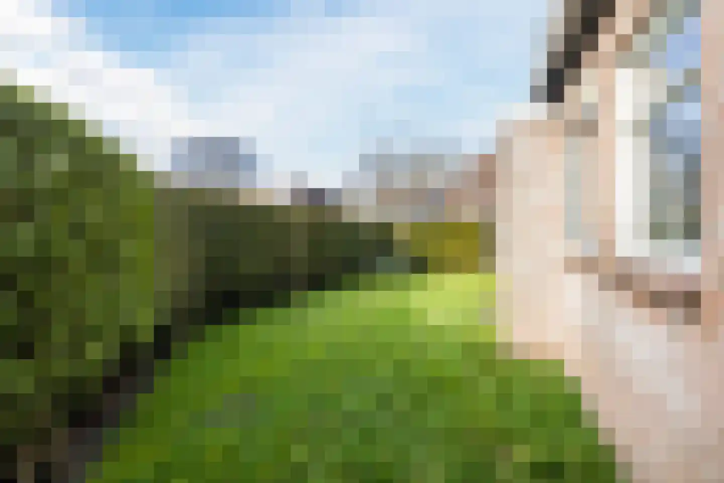 Loire 31 Assen thumbnail 46