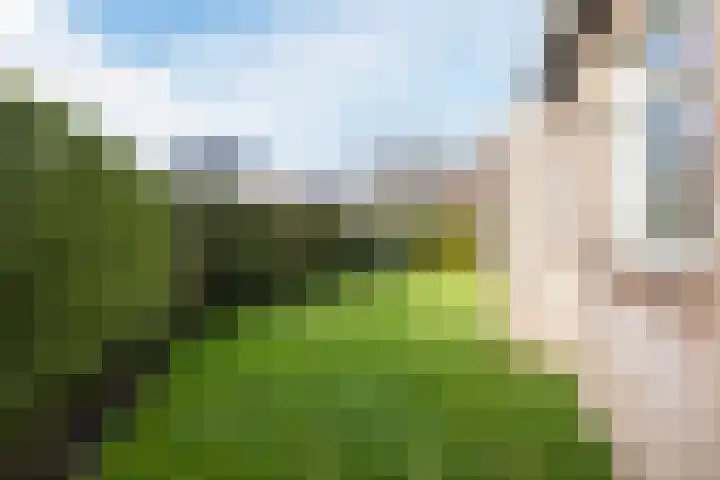 Loire 31 Assen thumbnail 46