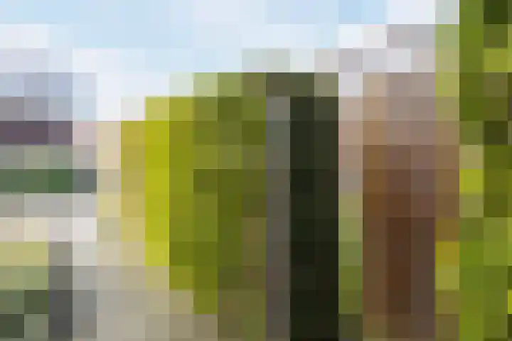 Loire 31 Assen thumbnail 47