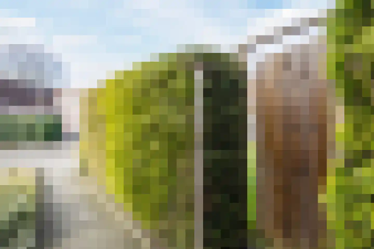 Loire 31 Assen thumbnail 47