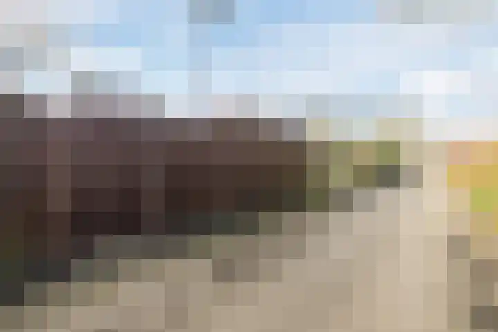 Loire 31 Assen thumbnail 48