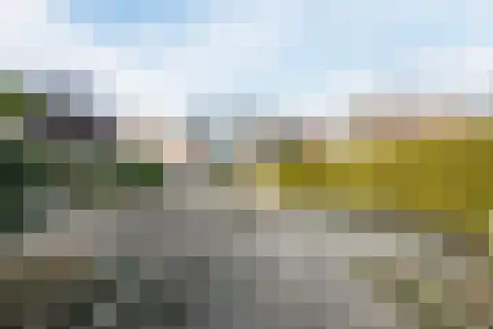 Loire 31 Assen thumbnail 49