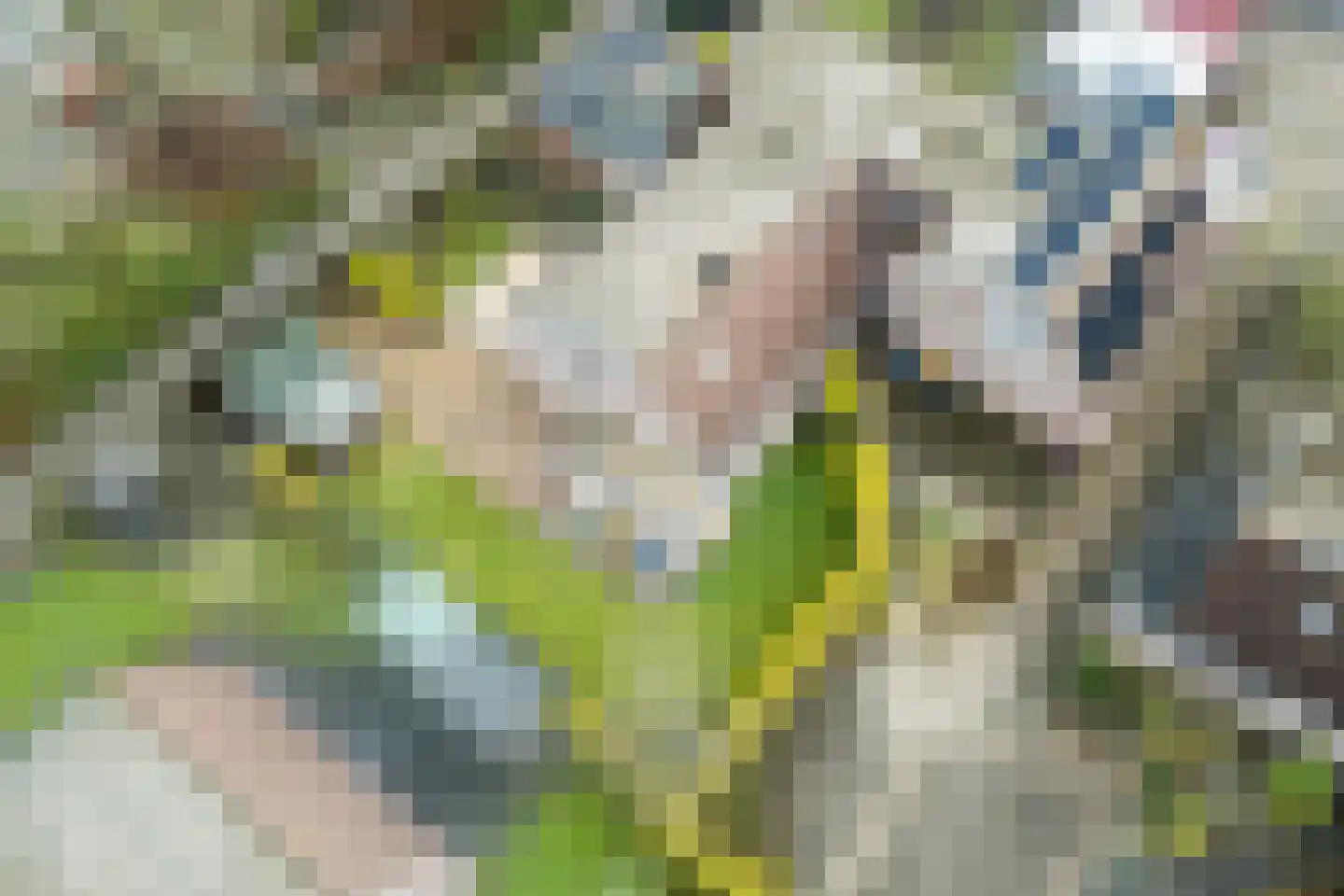 Loire 31 Assen thumbnail 51