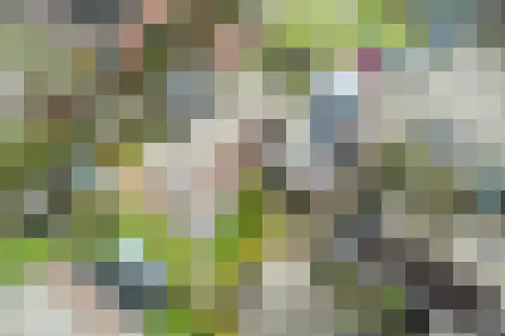 Loire 31 Assen thumbnail 51