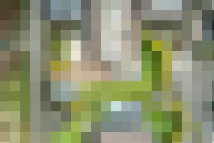 Loire 31 Assen thumbnail 52