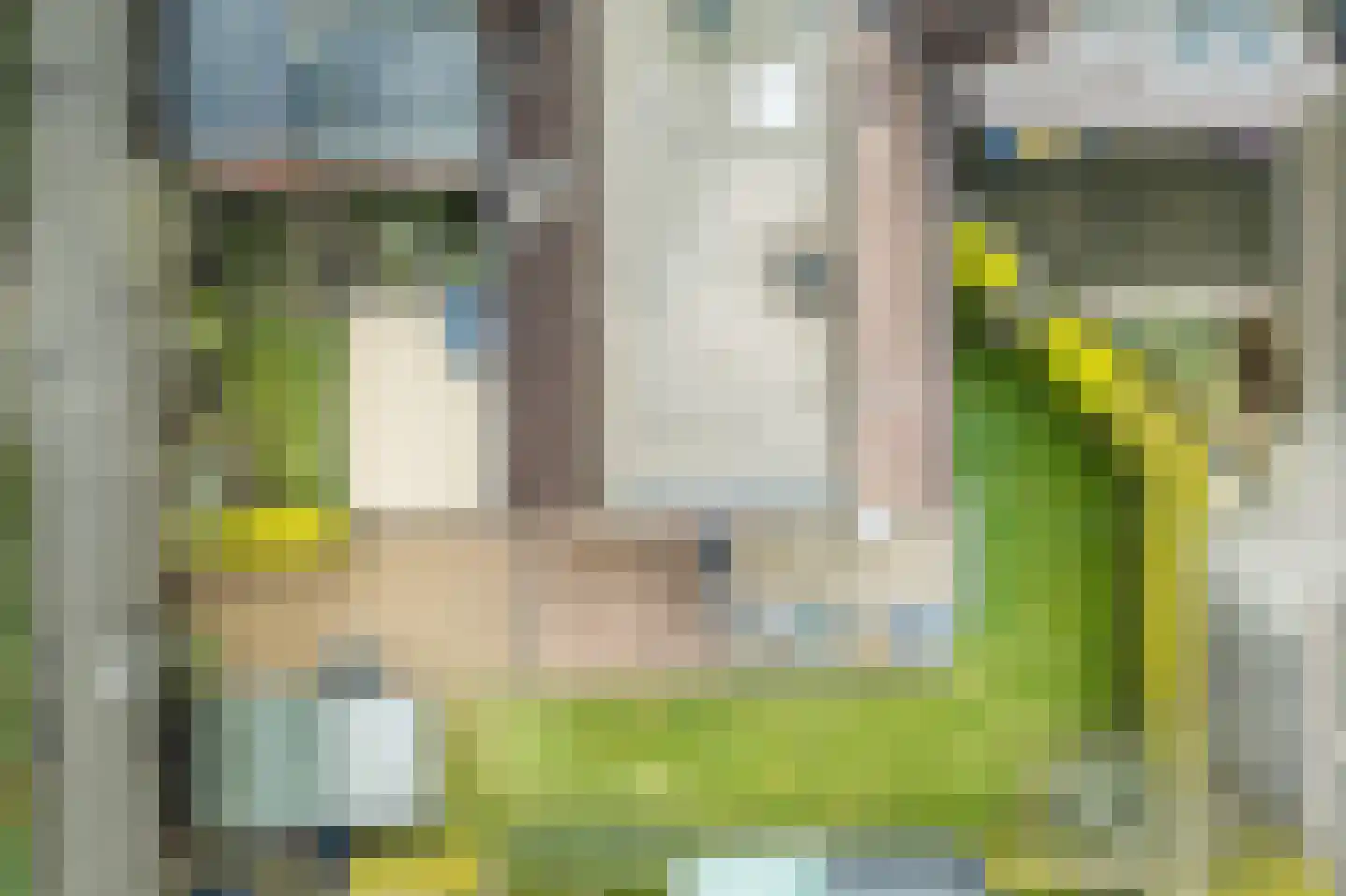 Loire 31 Assen thumbnail 52