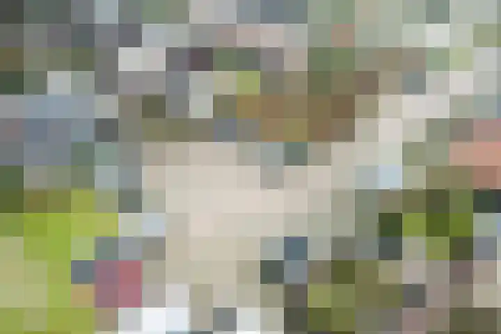 Loire 31 Assen thumbnail 53