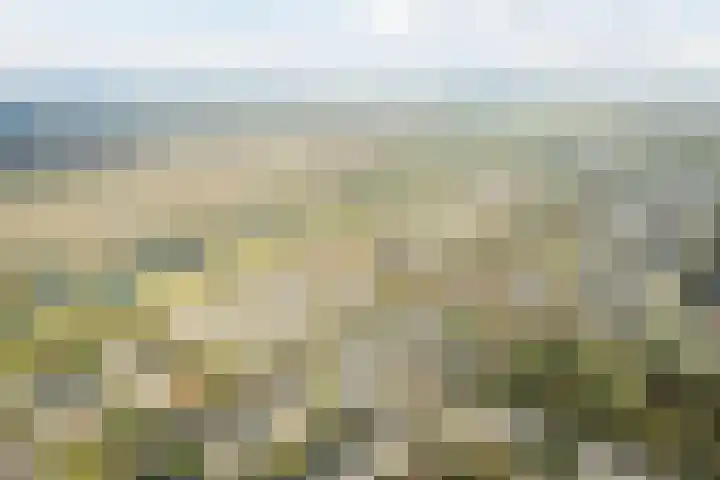 Loire 31 Assen thumbnail 55