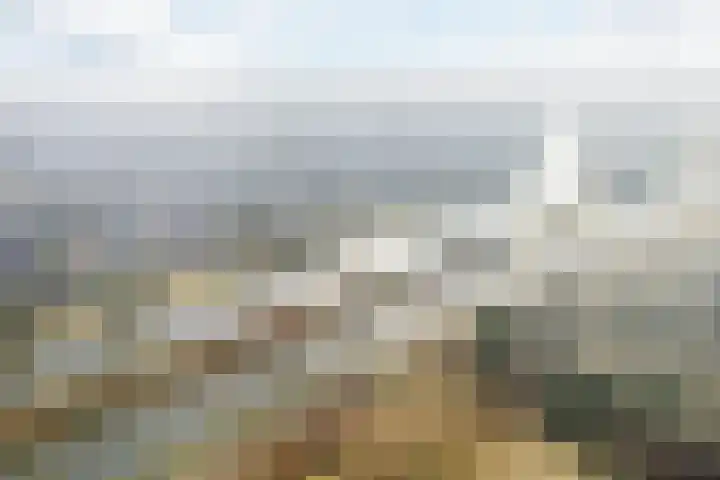 Loire 31 Assen thumbnail 56