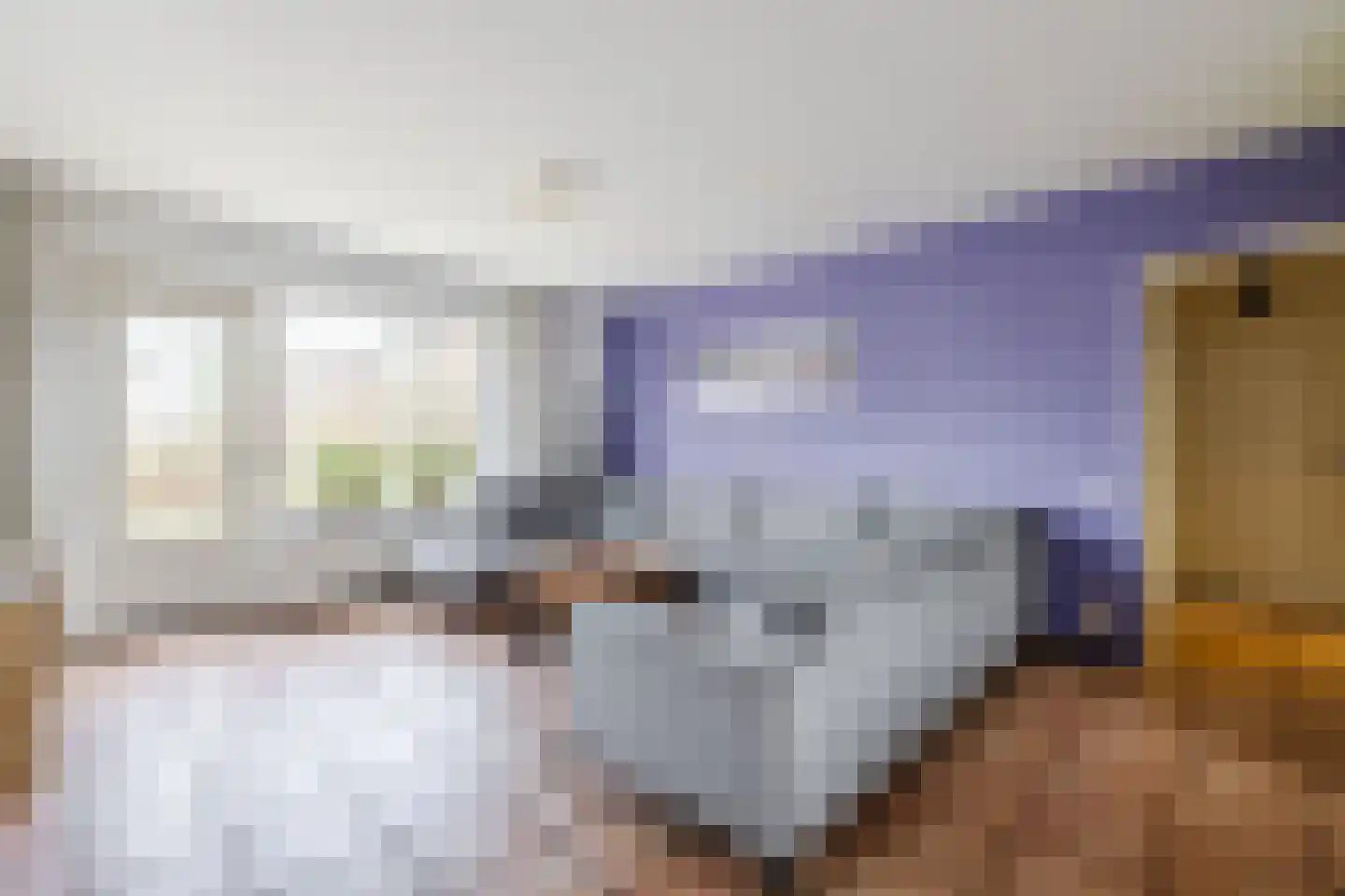 Loire 31 Assen thumbnail 7