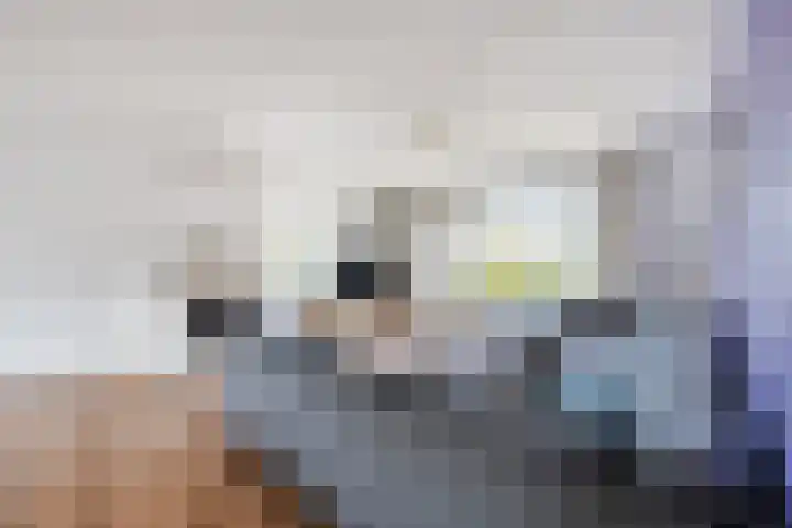 Loire 31 Assen thumbnail 8
