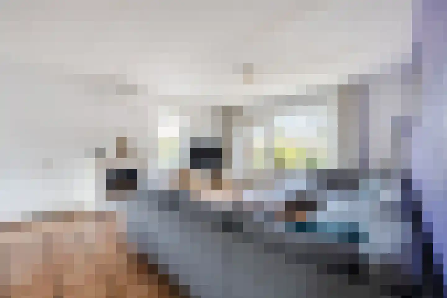 Loire 31 Assen thumbnail 8