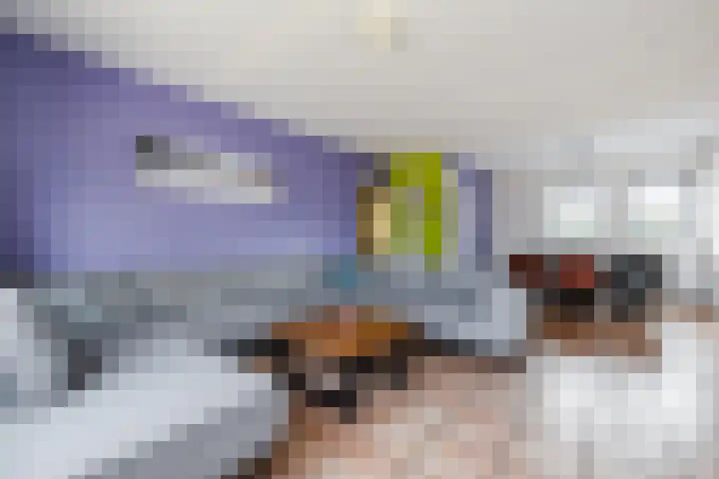 Loire 31 Assen thumbnail 9