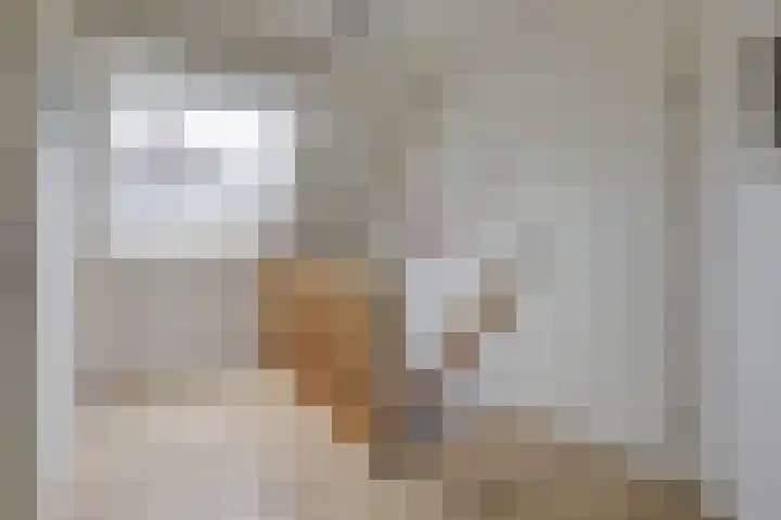 Loiredal 15 Doetinchem thumbnail 36