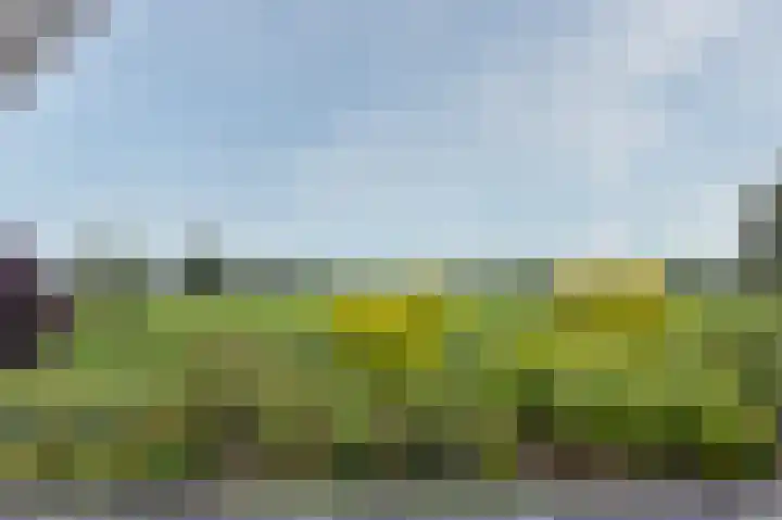Loiredal 15 Doetinchem thumbnail 40