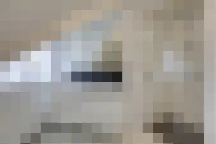 Loiredal 15 Doetinchem thumbnail 48