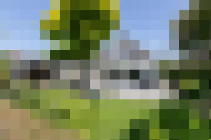 Loiredal 15 Doetinchem thumbnail 50