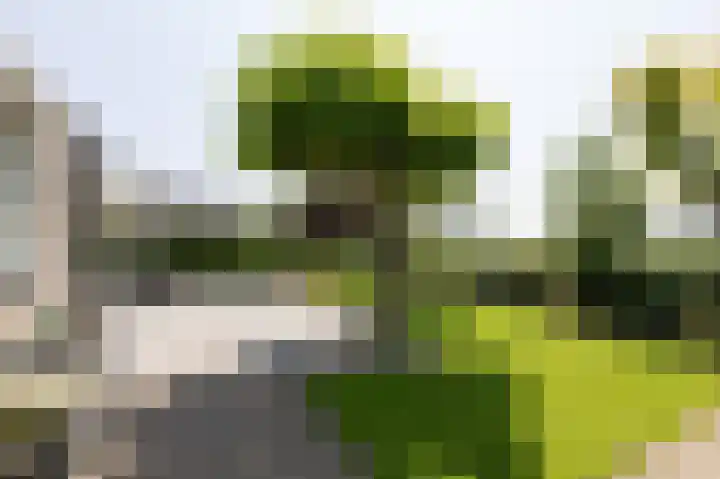 Loiredal 15 Doetinchem thumbnail 55