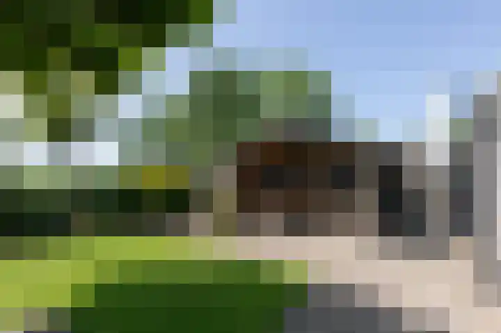 Loiredal 15 Doetinchem thumbnail 56
