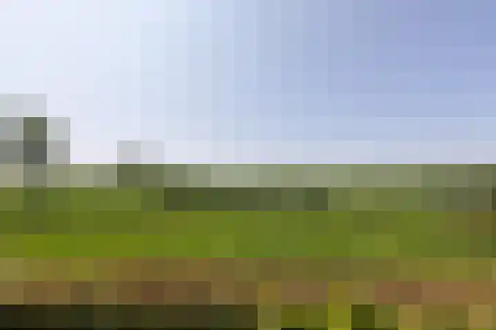 Loiredal 15 Doetinchem thumbnail 57