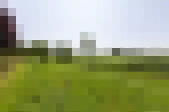 Loiredal 15 Doetinchem thumbnail 58