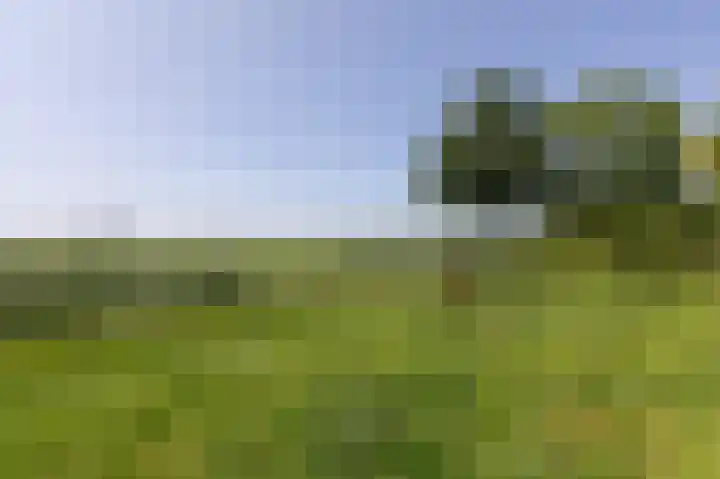Loiredal 15 Doetinchem thumbnail 59
