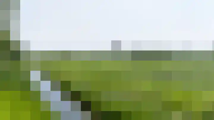 Loiredal 15 Doetinchem thumbnail 60