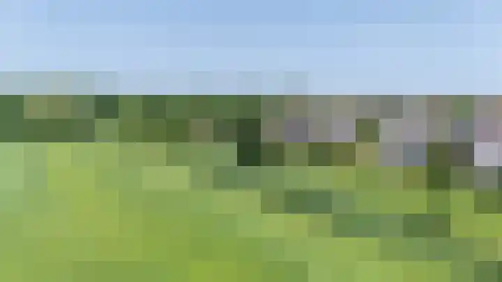 Loiredal 15 Doetinchem thumbnail 61