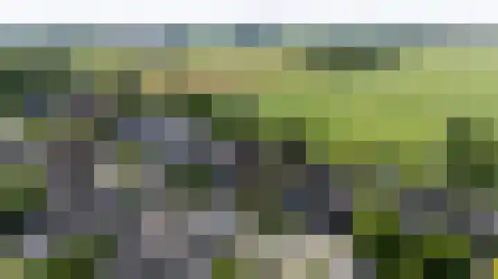 Loiredal 15 Doetinchem thumbnail 62