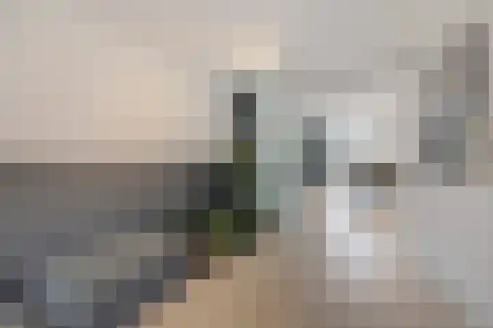 Loiredal 29 Doetinchem thumbnail 17