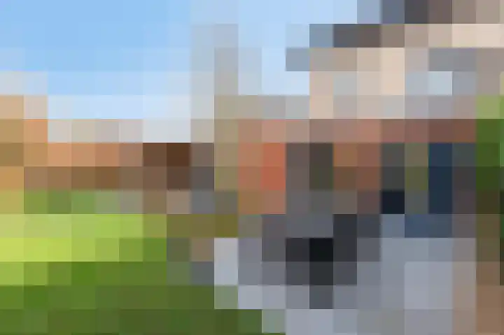 Loiredal 29 Doetinchem thumbnail 33