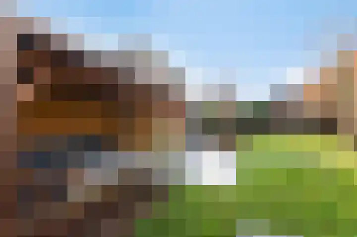 Loiredal 29 Doetinchem thumbnail 38