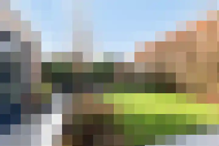Loiredal 29 Doetinchem thumbnail 43