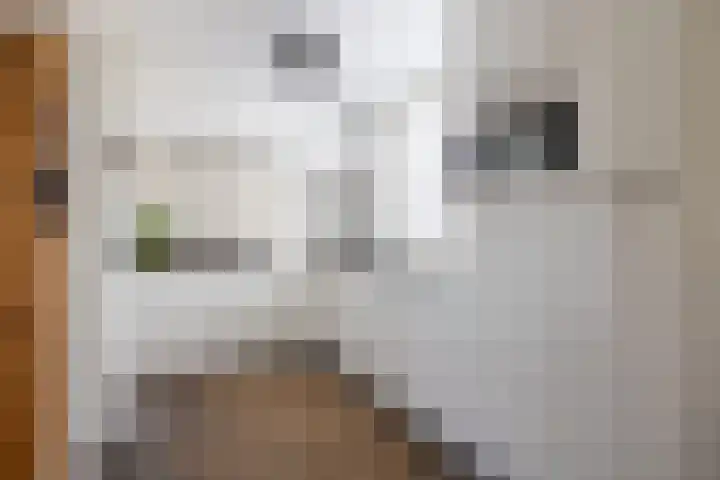 Loiredal 30 Doetinchem thumbnail 13