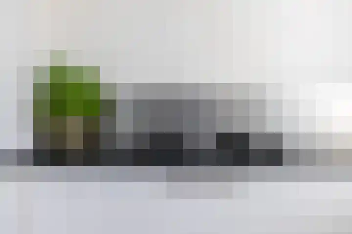 Loiredal 30 Doetinchem thumbnail 15