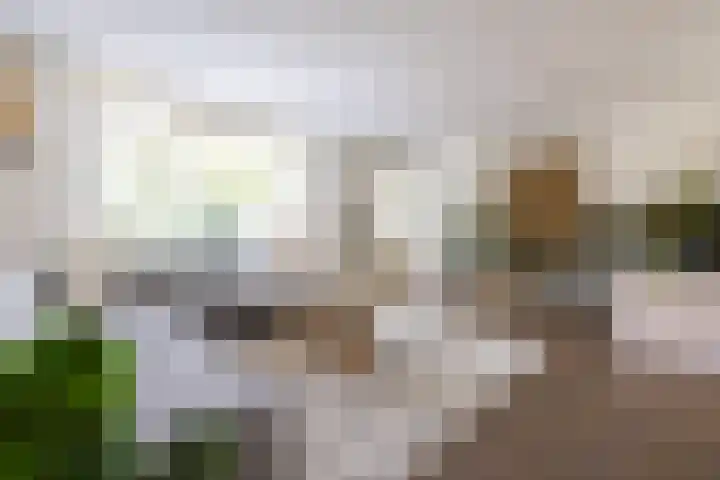 Loiredal 30 Doetinchem thumbnail 18