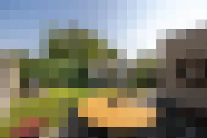Loiredal 30 Doetinchem thumbnail 20