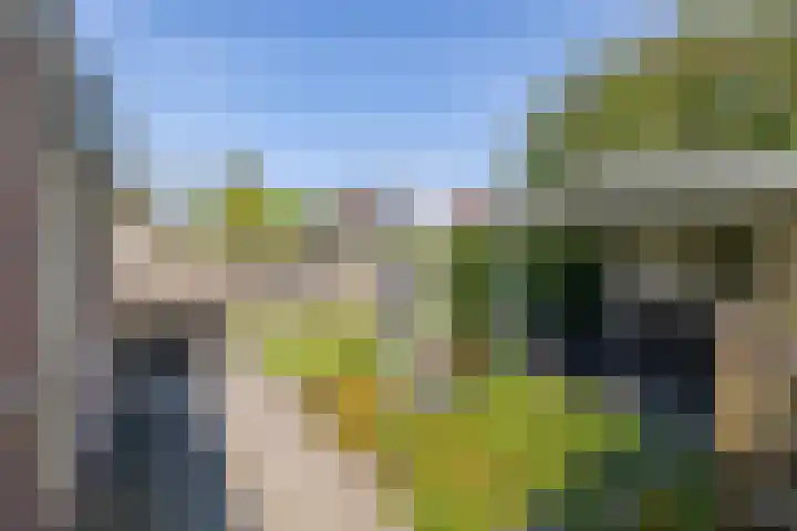 Loiredal 30 Doetinchem thumbnail 21